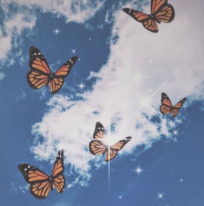 Meet your Posher, Adelaide